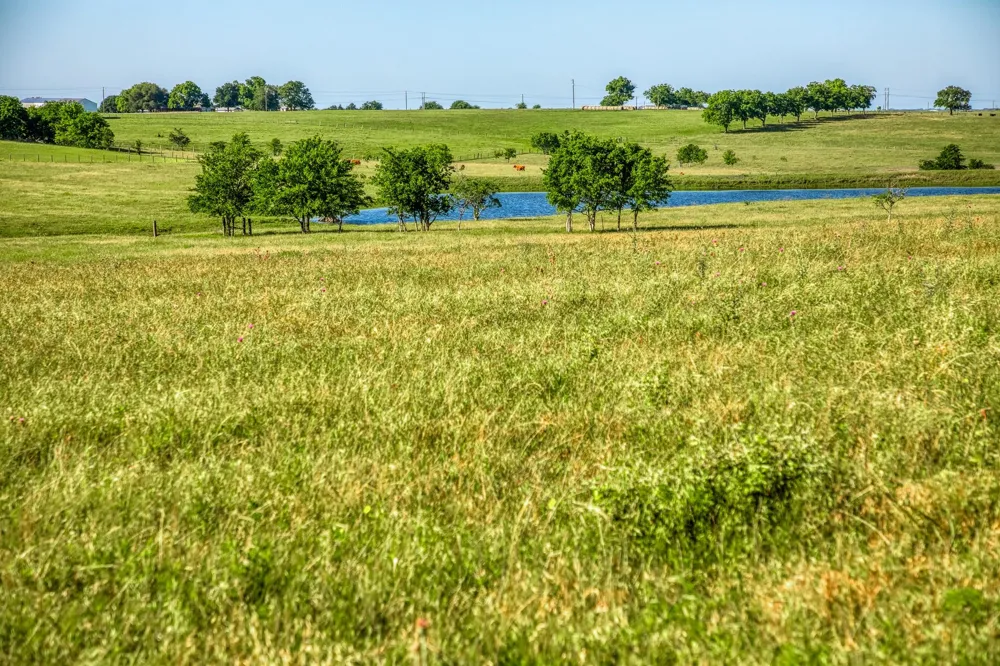 5005 Fuchs Rd Burton, TX 77835