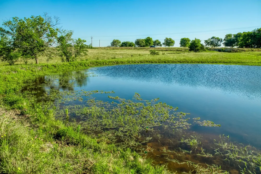 5005 Fuchs Rd Burton, TX 77835