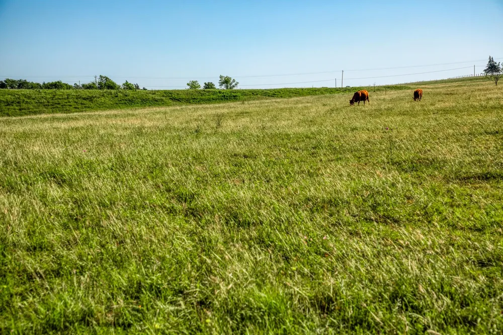 5005 Fuchs Rd Burton, TX 77835