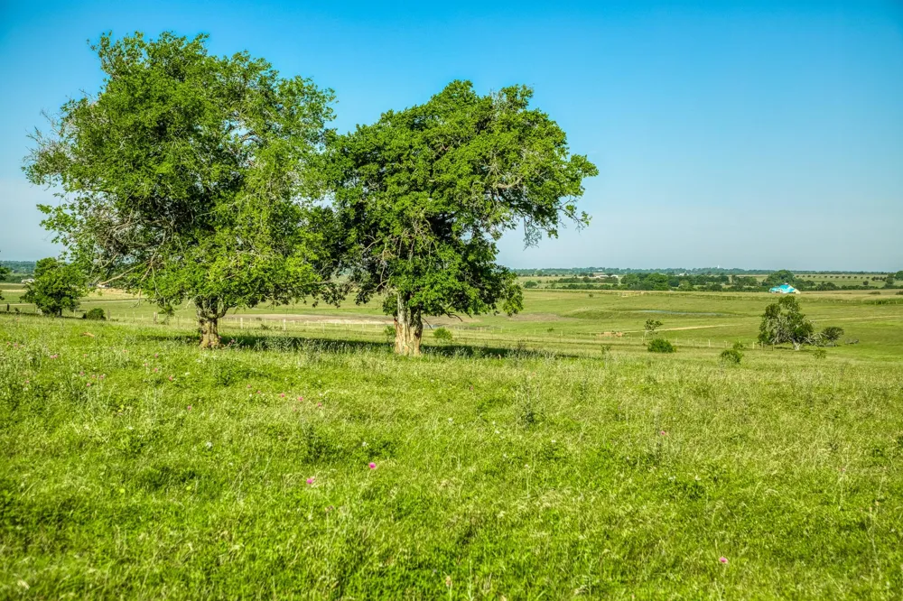 5005 Fuchs Rd Burton, TX 77835
