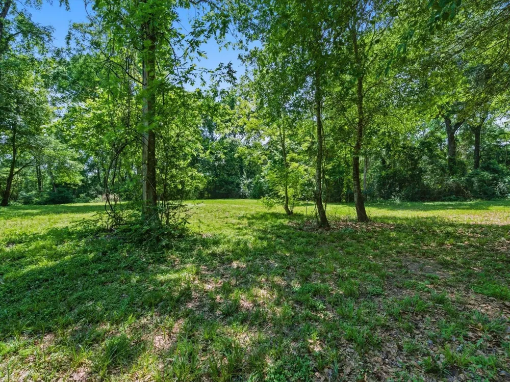 27855 Kresdorn Road Hockley, TX 77447