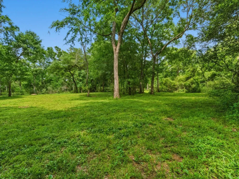 27855 Kresdorn Road Hockley, TX 77447