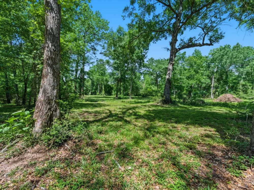 27855 Kresdorn Road Hockley, TX 77447