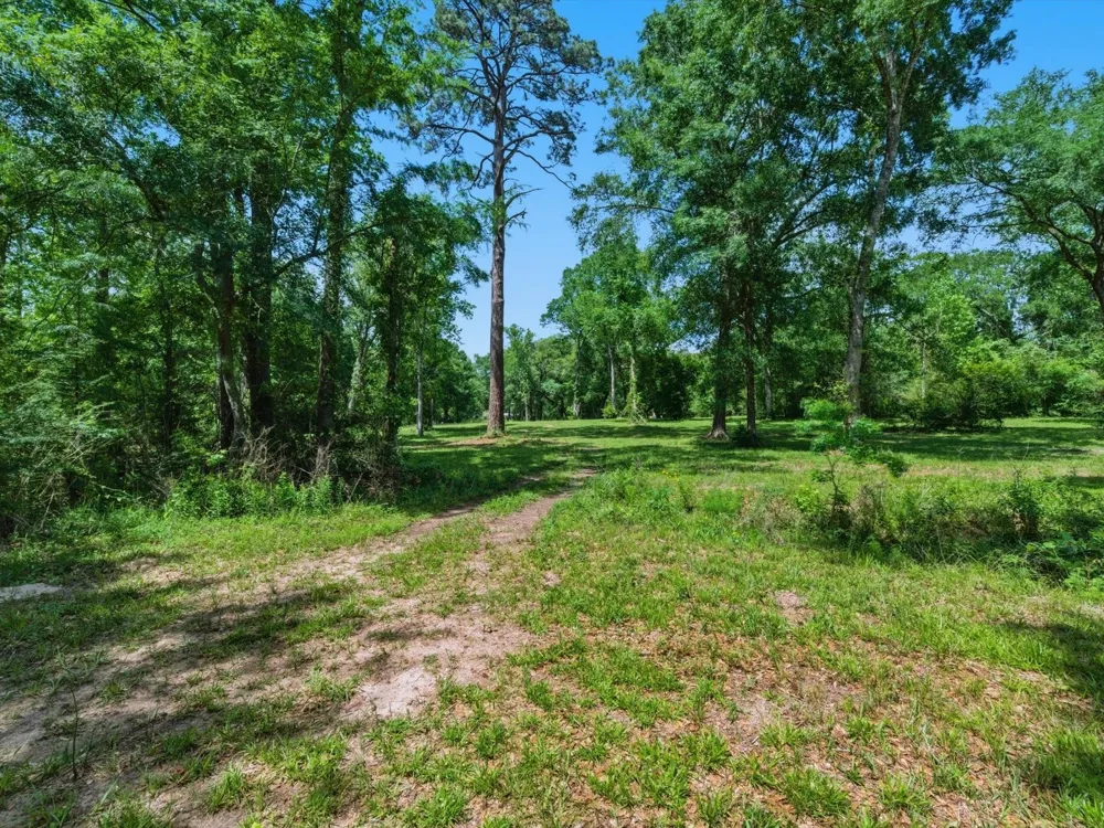 27855 Kresdorn Road Hockley, TX 77447