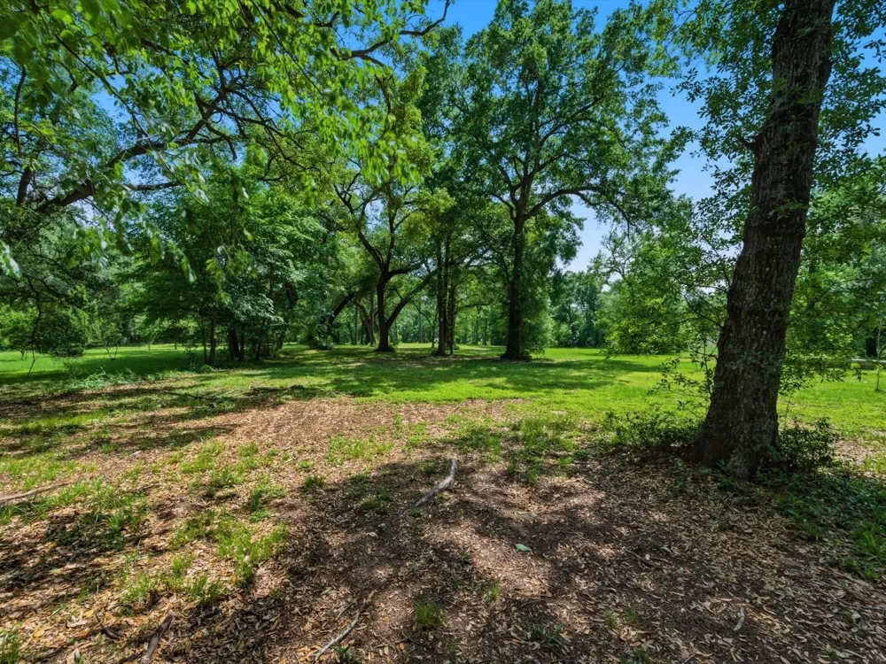 27855 Kresdorn Road Hockley, TX 77447
