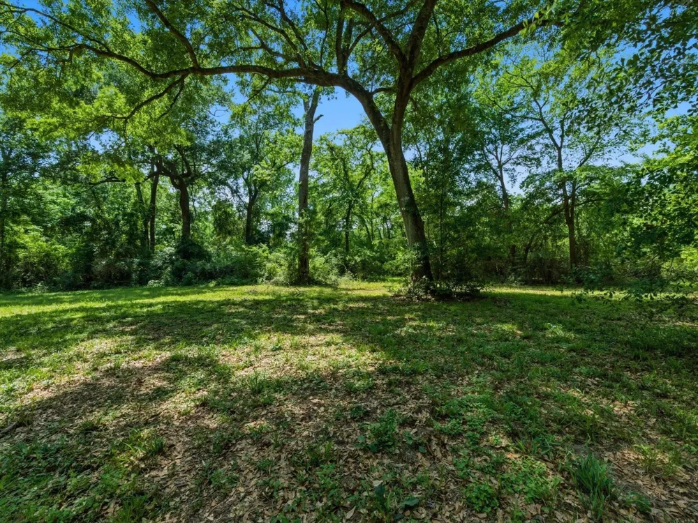 27855 Kresdorn Road Hockley, TX 77447