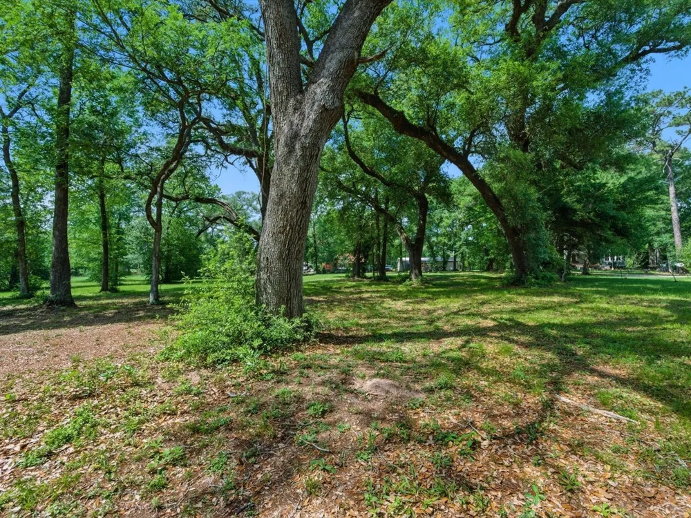 27855 Kresdorn Road Hockley, TX 77447