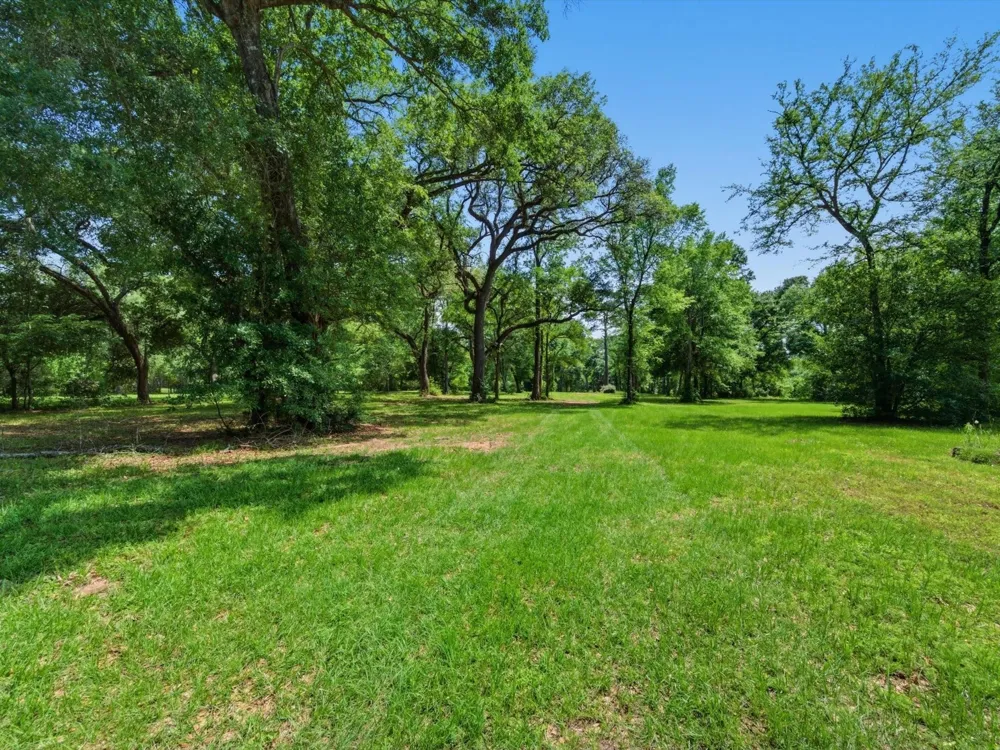 27855 Kresdorn Road Hockley, TX 77447