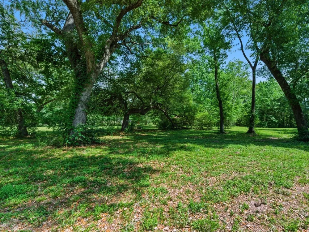 27855 Kresdorn Road Hockley, TX 77447