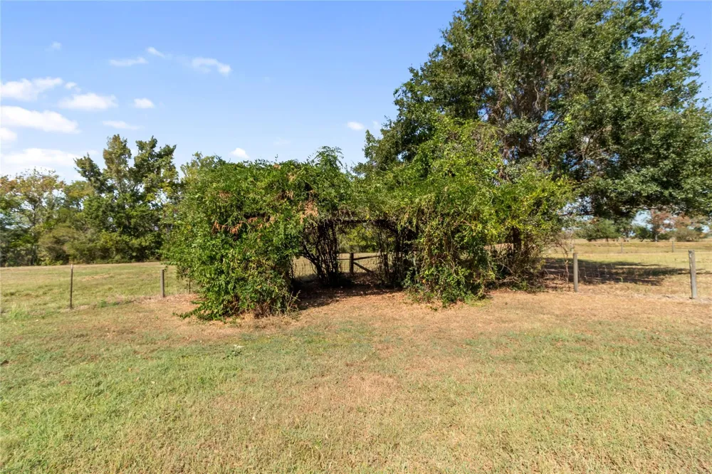 28109 Waller Gladish Rd Waller, TX 77484