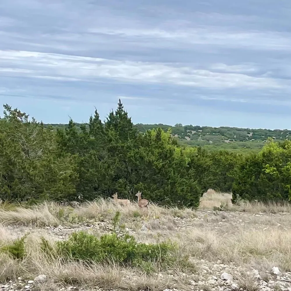 41 Tx Hwy 41 Rocksprings, TX 78880