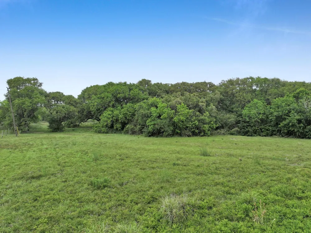 1364 Walter High Island, TX 77632