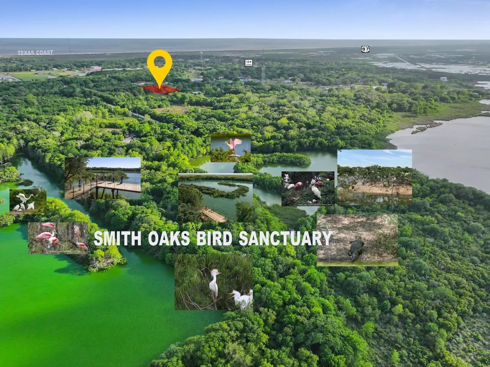 1364 Walter High Island, TX 77632