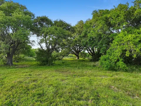 2187 Old Mexico Road