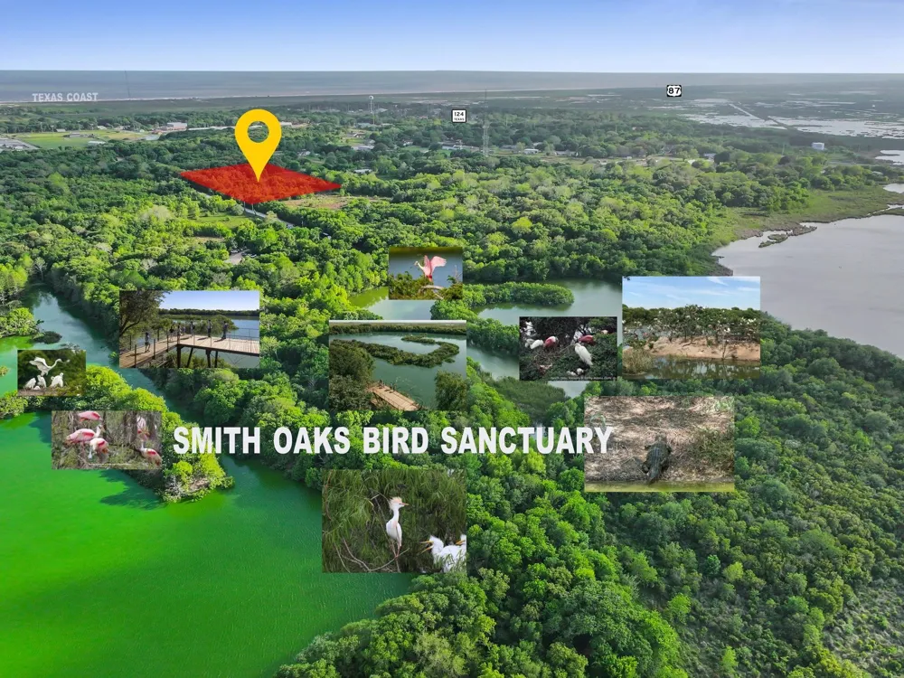 2187 Old Mexico Road High Island, TX 77623