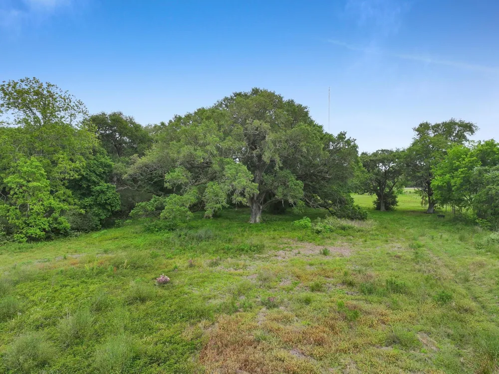 2187 Old Mexico Road High Island, TX 77623