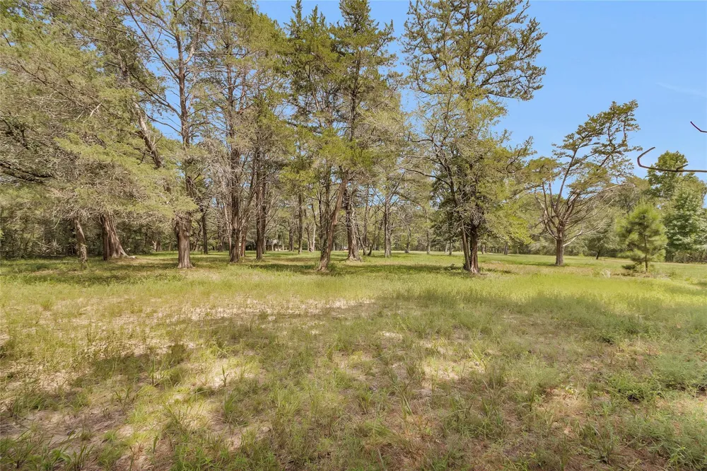 10314 County Road 417a Navasota, TX 77868