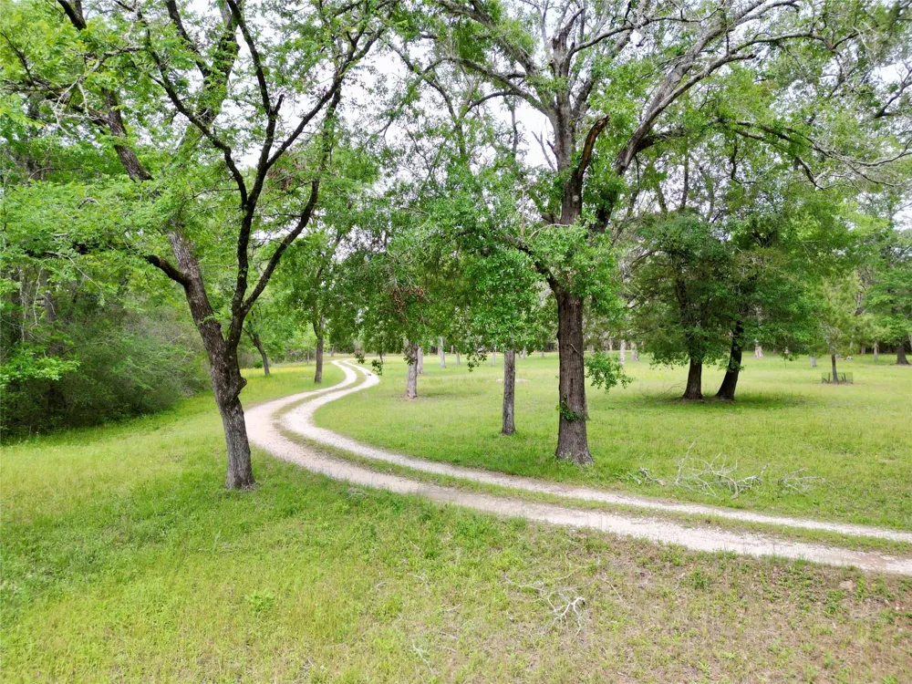 10314 County Road 417a Navasota, TX 77868