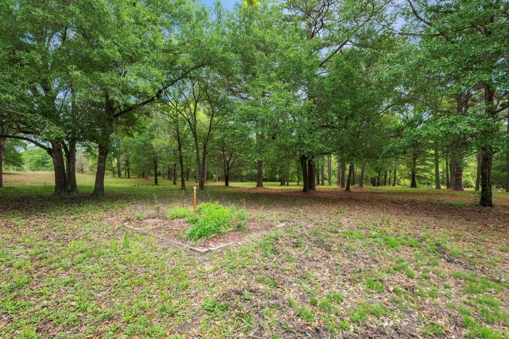10314 County Road 417a Navasota, TX 77868