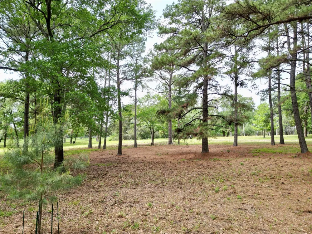 10314 County Road 417a Navasota, TX 77868
