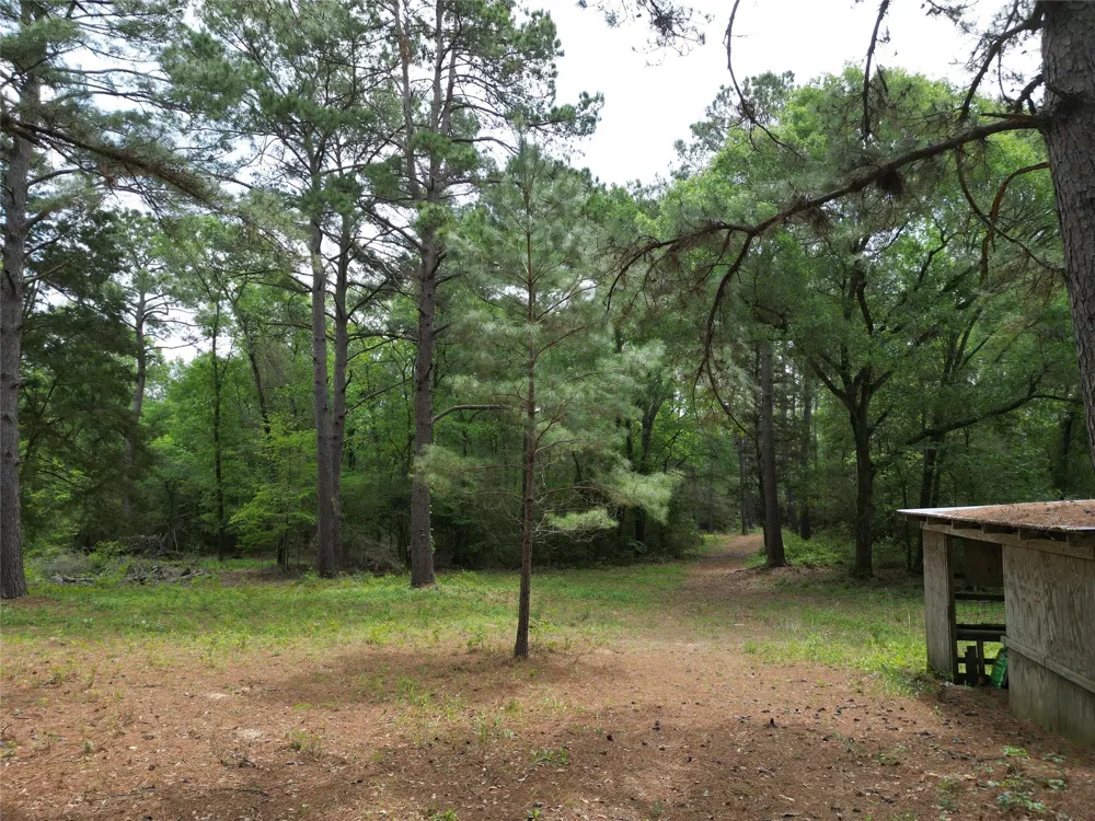 10314 County Road 417a Navasota, TX 77868