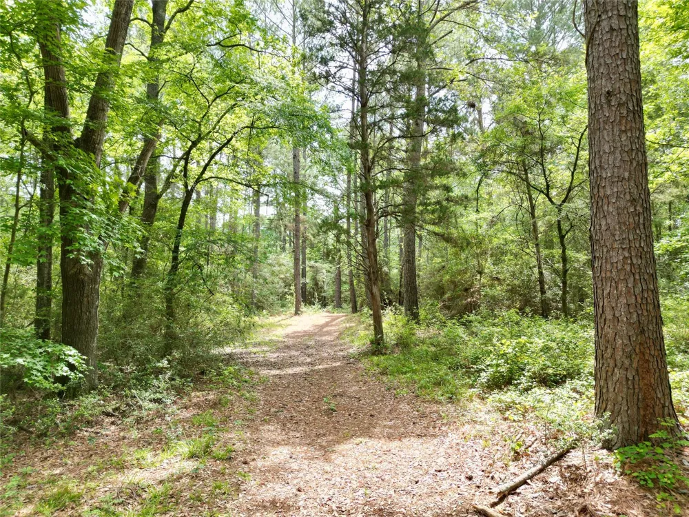 10314 County Road 417a Navasota, TX 77868
