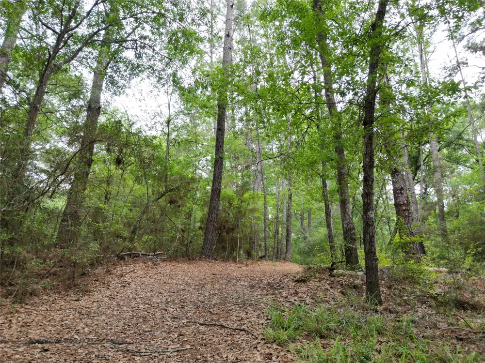 10314 County Road 417a Navasota, TX 77868