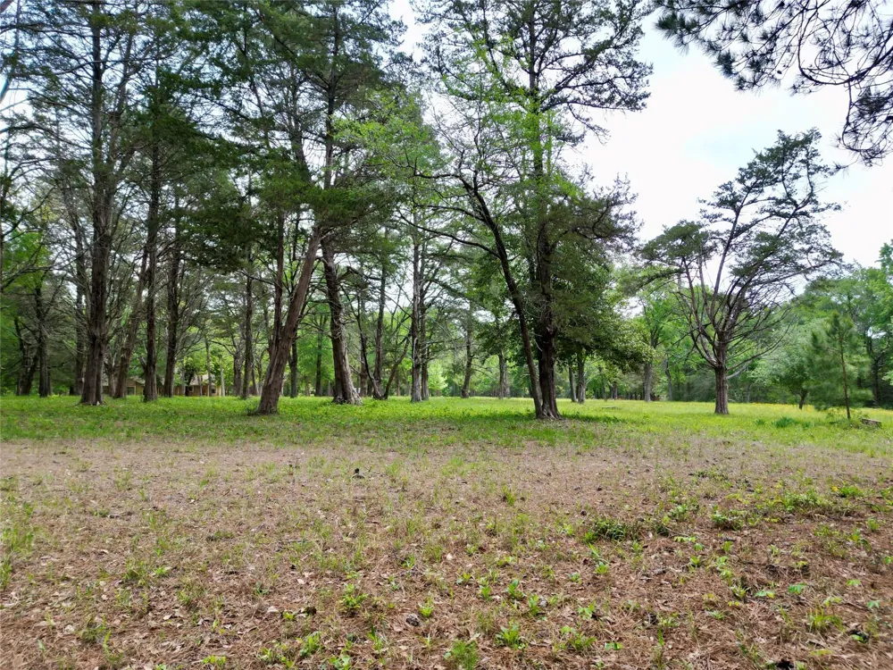10314 County Road 417a Navasota, TX 77868