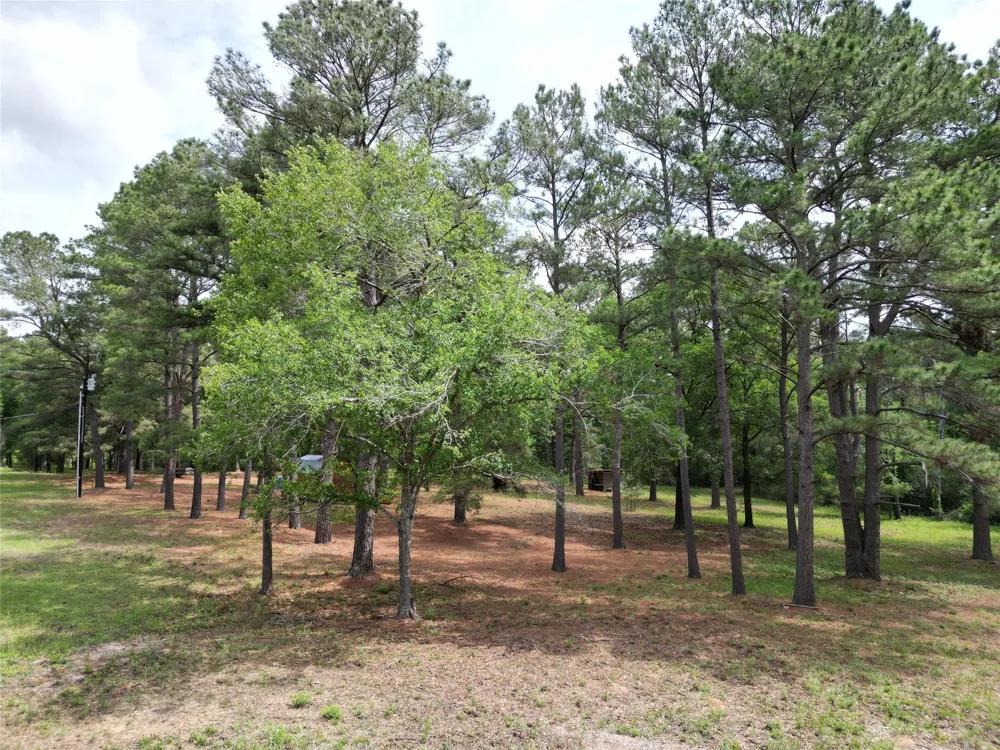 10314 County Road 417a Navasota, TX 77868
