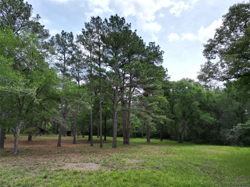 10314 County Road 417a Navasota, TX 77868