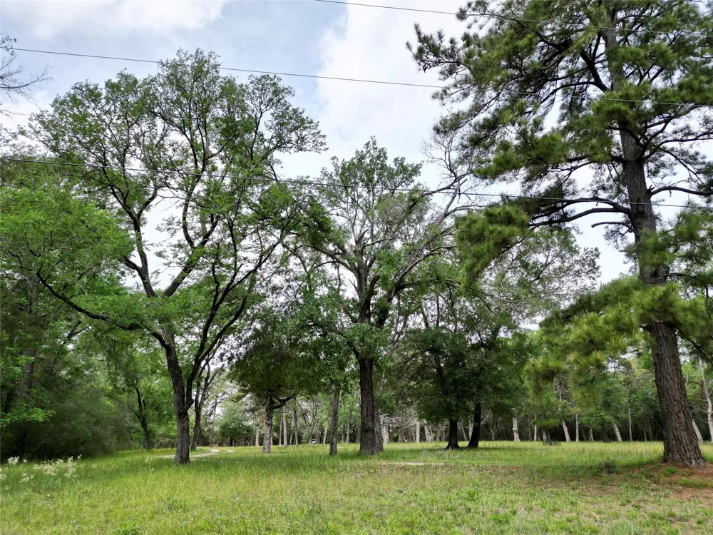 10314 County Road 417a Navasota, TX 77868