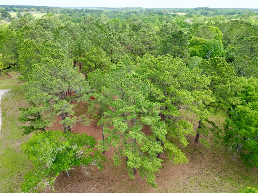 10314 County Road 417a Navasota, TX 77868