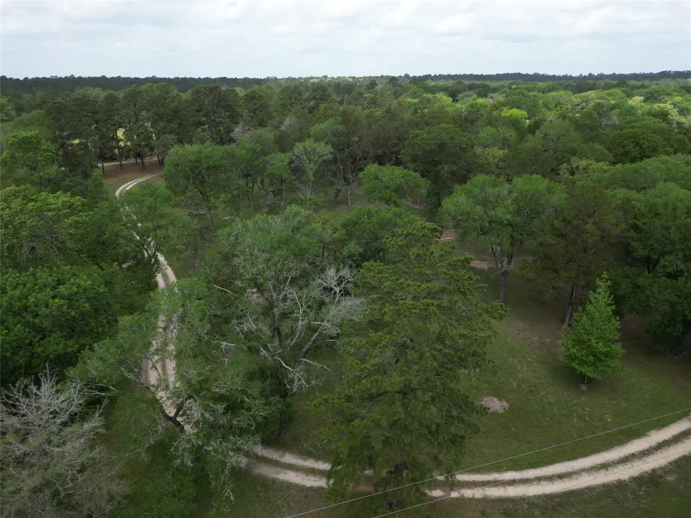 10314 County Road 417a Navasota, TX 77868