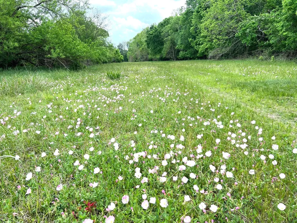 10463 Highway 36 Bellville, TX 77418