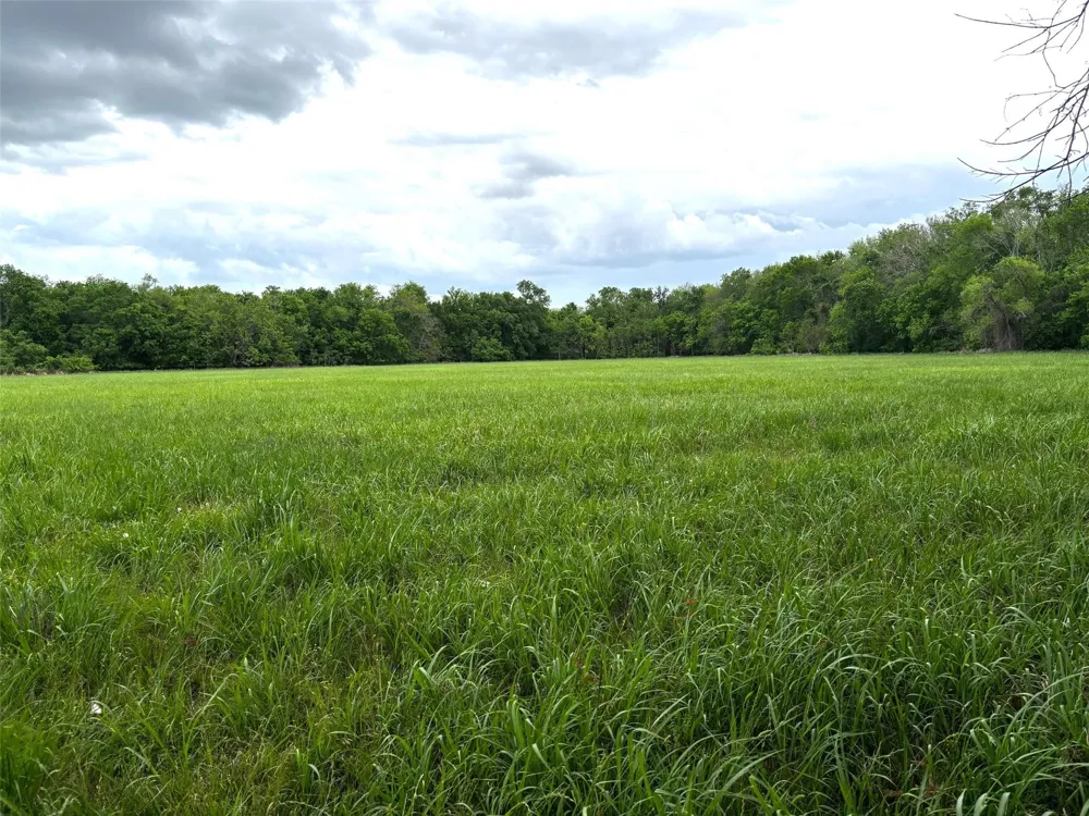 10463 Highway 36 Bellville, TX 77418
