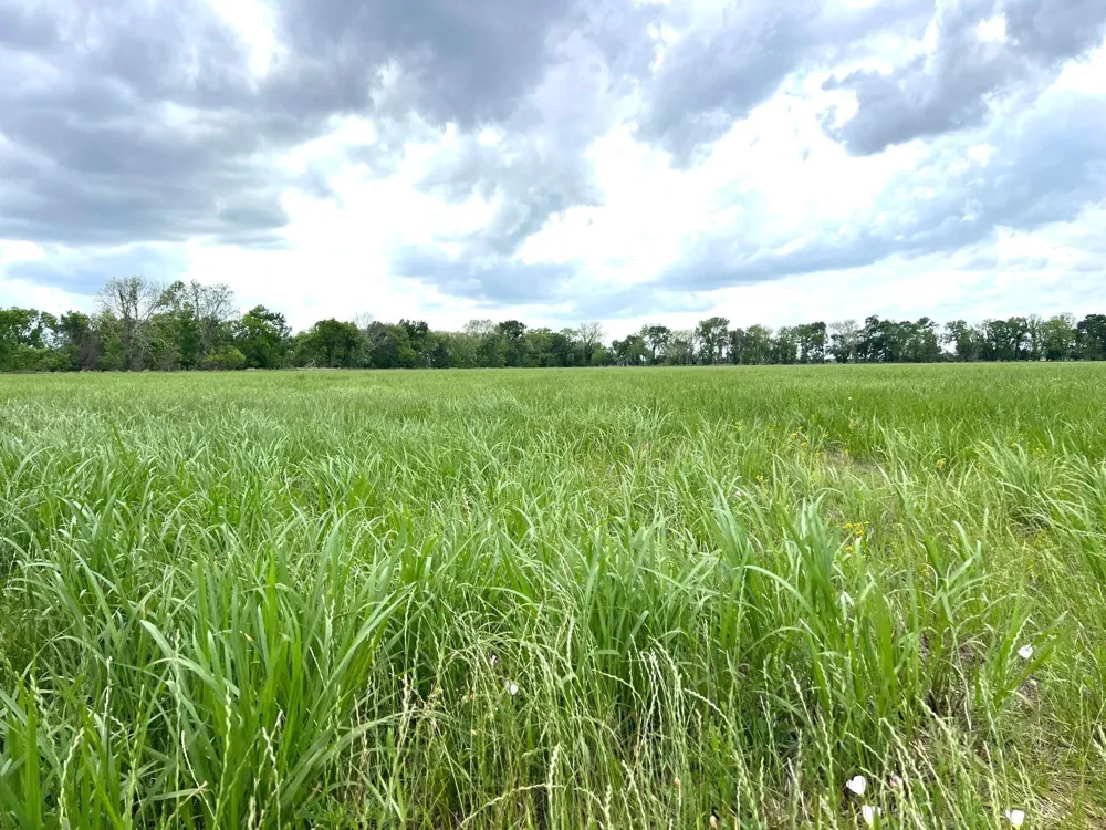 10463 Highway 36 Bellville, TX 77418