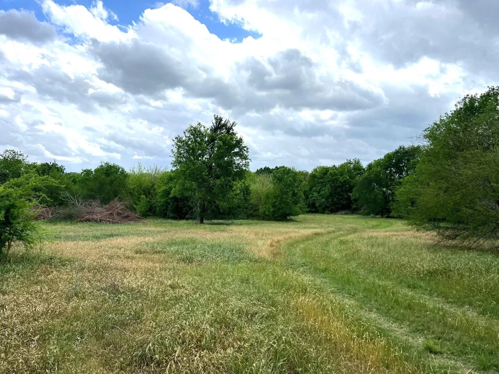10463 Highway 36 Bellville, TX 77418