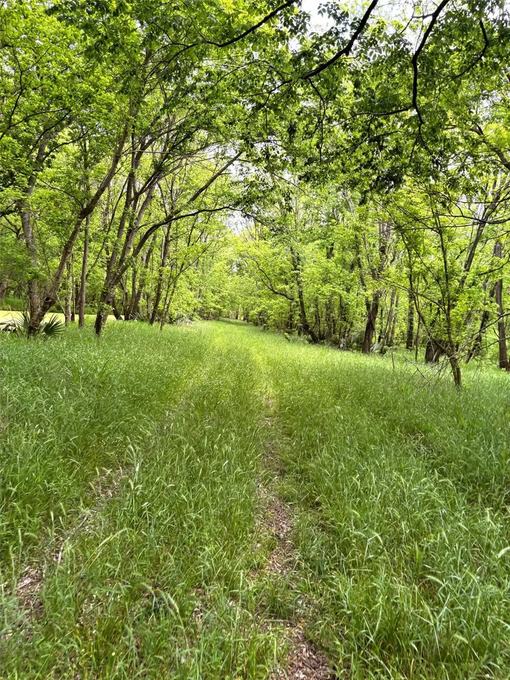 10463 Highway 36 Bellville, TX 77418