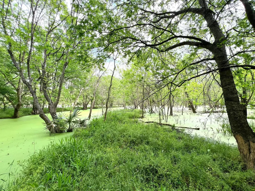 10463 Highway 36 Bellville, TX 77418