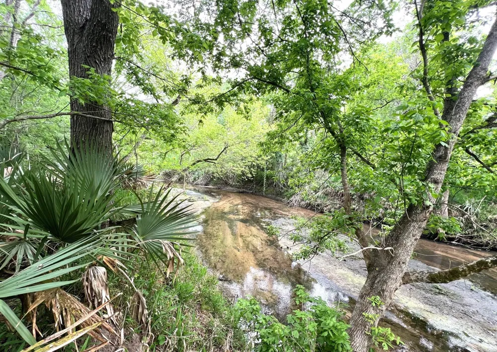 10463 Highway 36 Bellville, TX 77418