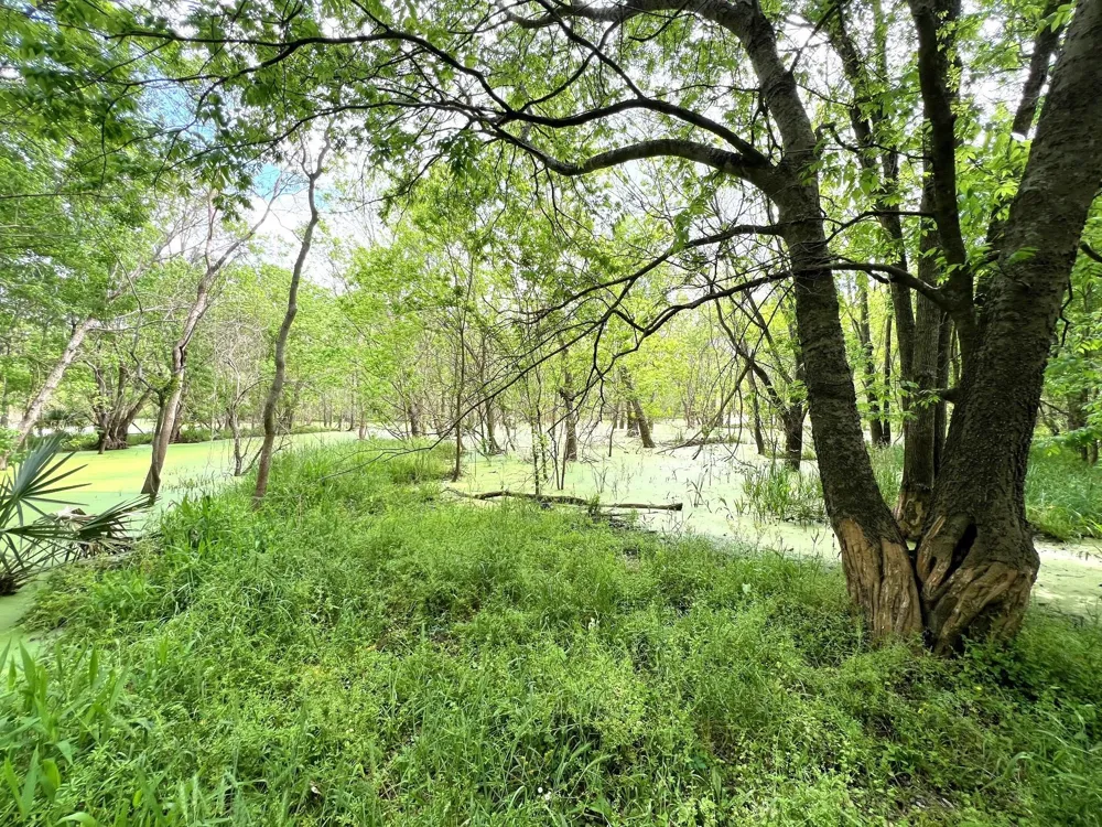 10463 Highway 36 Bellville, TX 77418