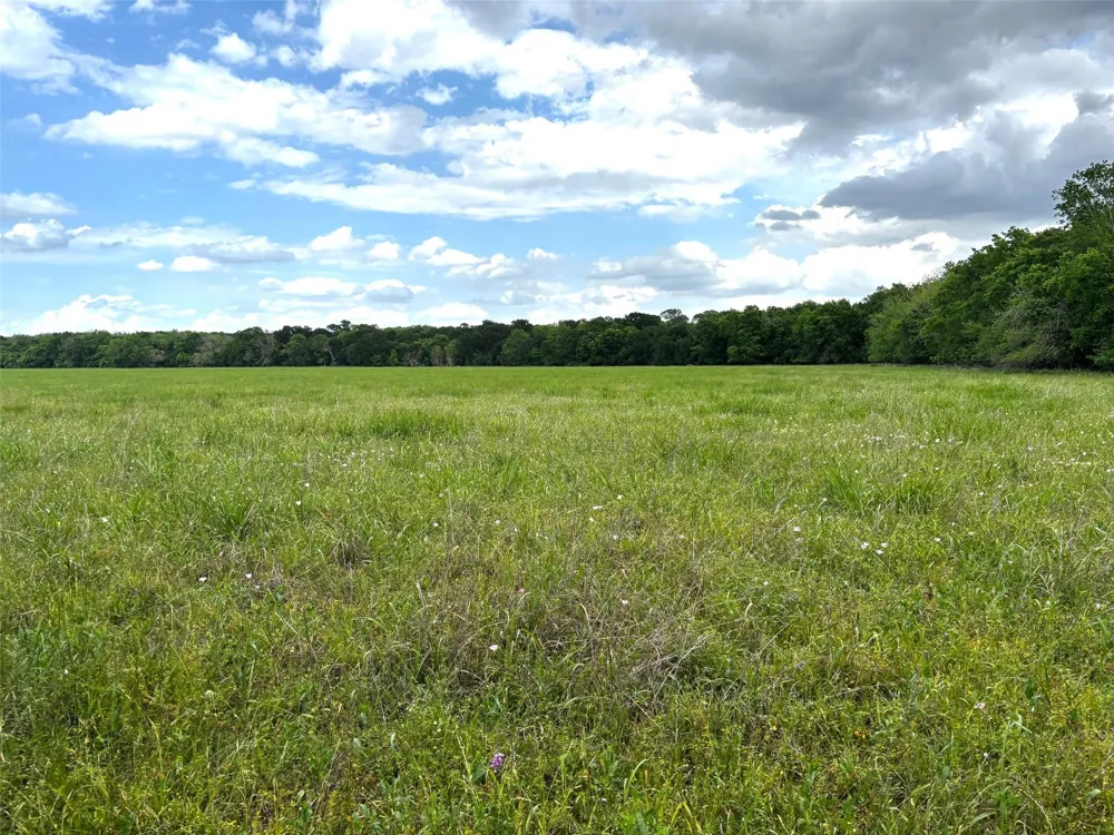 10463 Highway 36 Bellville, TX 77418