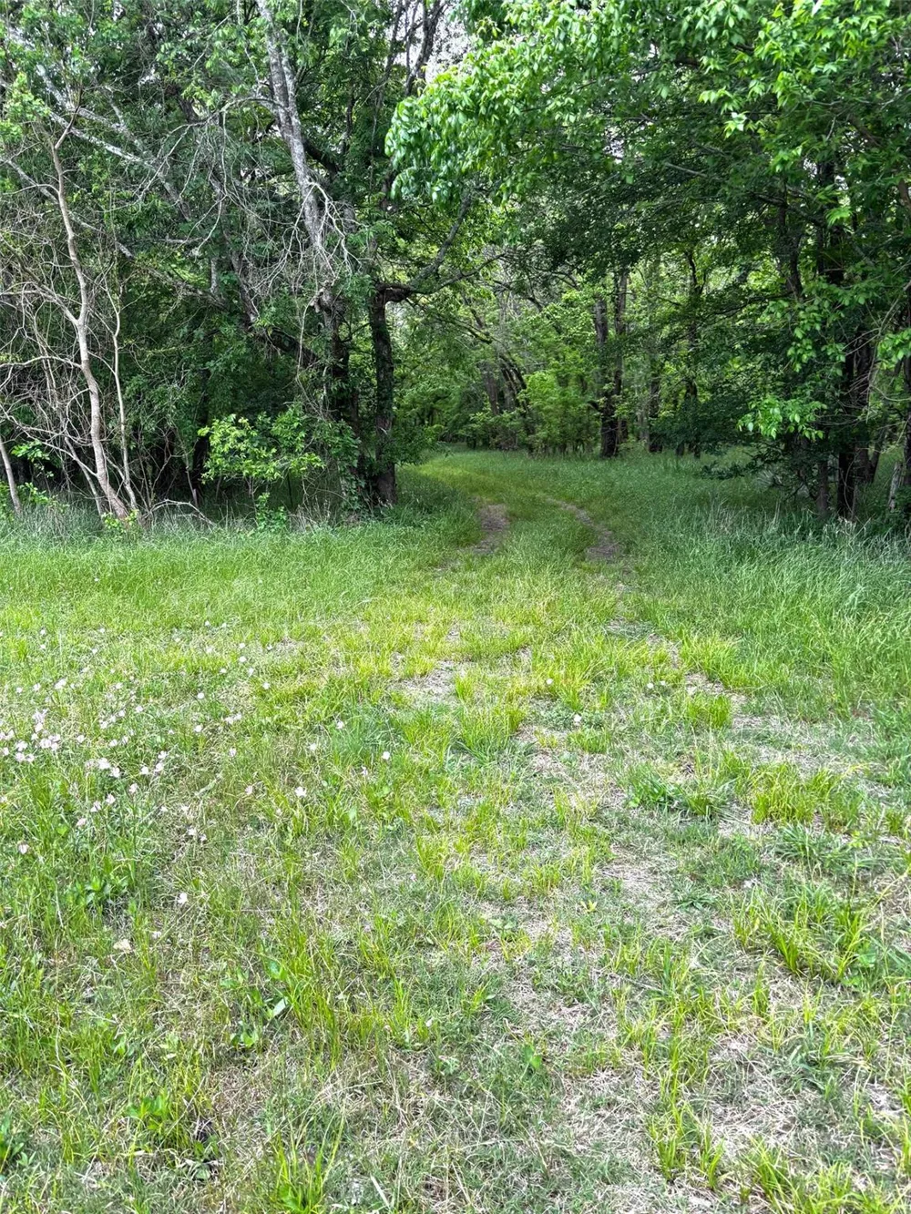 10463 Highway 36 Bellville, TX 77418