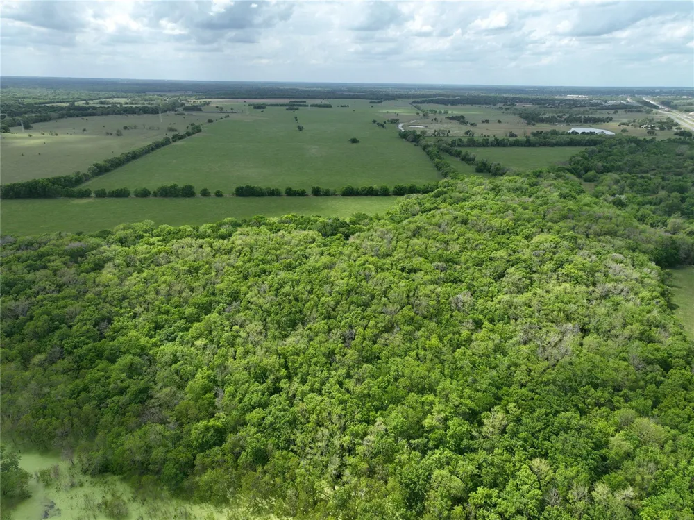 10463 Highway 36 Bellville, TX 77418