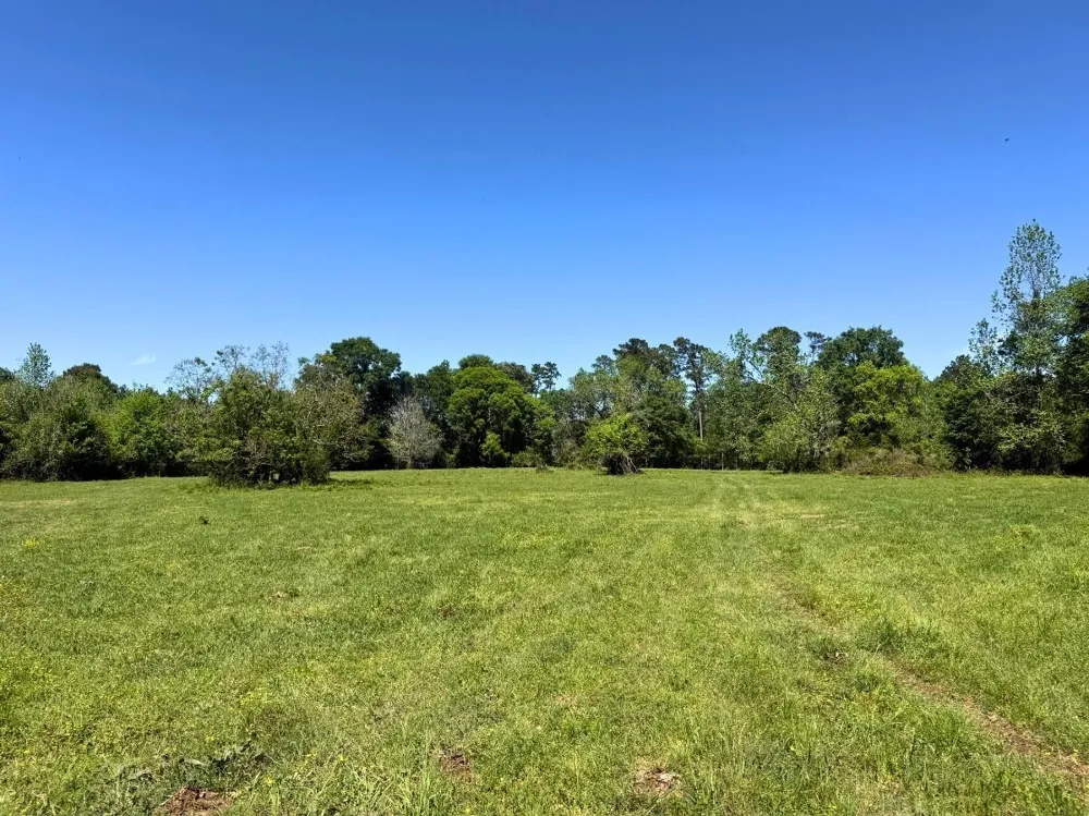 Hwy 150 Coldspring, TX 77331
