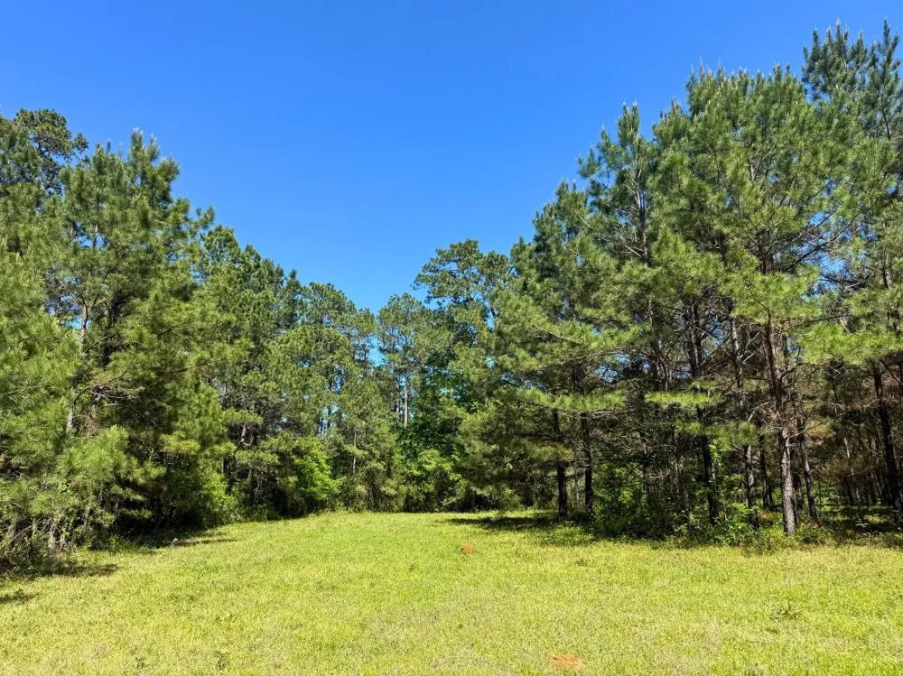 Hwy 150 Coldspring, TX 77331