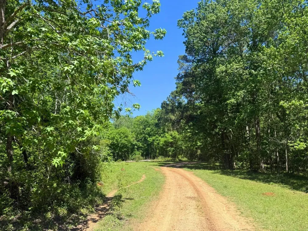 Hwy 150 Coldspring, TX 77331