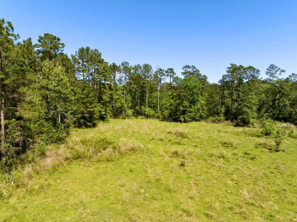 Hwy 150 Coldspring, TX 77331