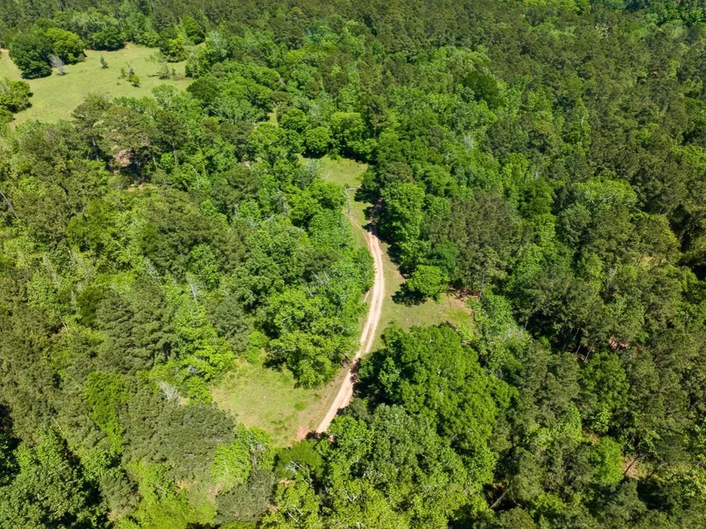 Hwy 150 Coldspring, TX 77331
