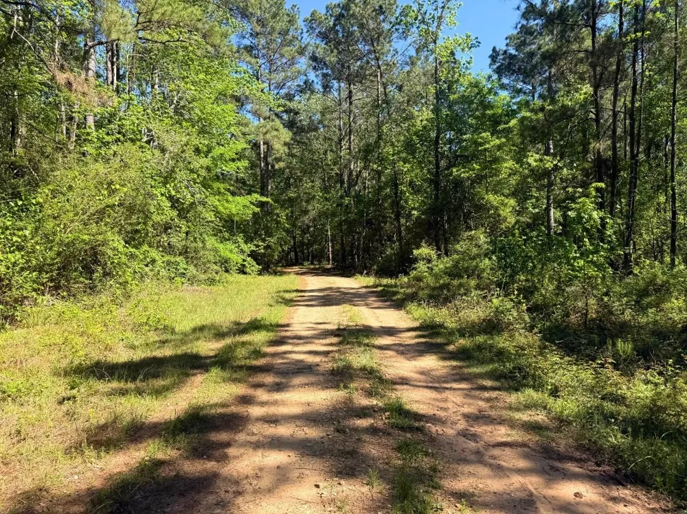 Hwy 150 Coldspring, TX 77331